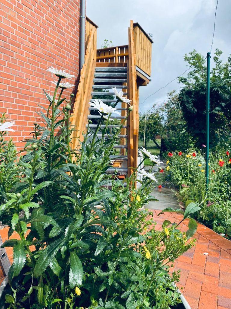 Ferienwohnung-Wildblume Petersdorf auf Fehmarn Екстер'єр фото